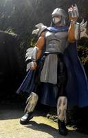 shredder metalic color (Teenage Mutant Ninja Turtles) Custom Action Figure