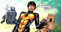 Wasp/Janet Van Dyne/Giant girl (Marvel Icon) Custom Action Figure