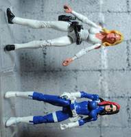 Women of SHIELD (Marvel Universe) Custom Action Figure