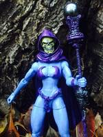 Lady Skeletor (Masters of the Universe) Custom Action Figure