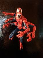Doppelganger Spider-Man (Marvel Legends) Custom Action Figure