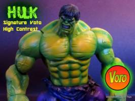 Hulk (Voto High Contrast Paints) (Marvel Select) Custom Action Figure