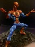 Spiderman (Voto High Contrast Paints) (Marvel Legends) Custom Action Figure