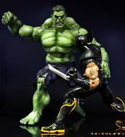 The Incredible Hulk (Marvel Legends) Custom Action Figure