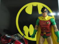 Robin (Batman) Custom Action Figure
