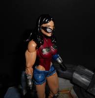 Wonder Woman (DC Universe) Custom Action Figure