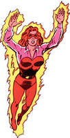 FIREBRAND II Danette Reilly All-Star Squadron (DC Universe) Custom Action Figure