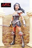 Donna Troy (Dawn of Justice Batman V Superman movie concept series) (Wonder Woman) Custom Action Figure