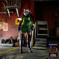 Cheshire (DC Universe) Custom Action Figure