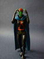 Ms Martian M'gann from Young Justice (Young Justice) Custom Action Figure