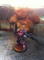 Infinity Gecko (Warhammer) Custom Miniature / Figurine