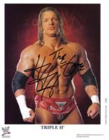 Hhh 2003 (Wrestling) Custom Action Figure