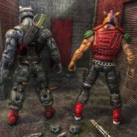Bebop and Rocksteady (Teenage Mutant Ninja Turtles) Custom Action Figure