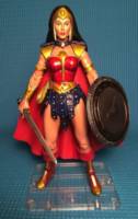Wonder Woman (Masters of the Universe) Custom Action Figure