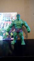 dcu hulk (DC Superheroes) Custom Action Figure