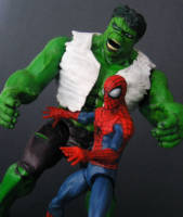 Spidey Showdowns: The Hulk (Marvel Legends) Custom Action Figure