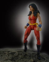 Donna Troy (DC Universe) Custom Action Figure