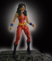 Donna Troy (DC Universe) Custom Action Figure