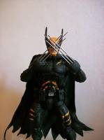 Dark Claw (Amalgam) Custom Action Figure