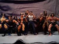 Steel Claws (X-Men) Custom Miniature / Figurine