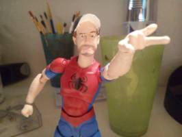 Glenn Webb (Spider-Glenn) (Marvel Legends) Custom Action Figure