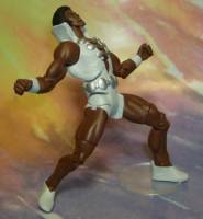 Tyroc (DC Universe) Custom Action Figure