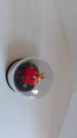 Beauty and the Beast mini roses (Beauty and the Beast) Custom Miniature / Figurine
