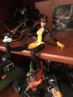 Kitty Pryde (Battlecat Shadowcat) (Marvel Legends) Custom Action Figure