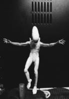 The Deacon *Ultramorph* Prometheus Concept Take: Two (Aliens) Custom Action Figure