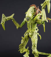Carrier Alien (Alien vs Predator) Custom Action Figure