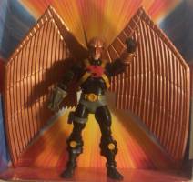 Hawkman - Katar Hol (Masters of the Universe Style) (DC Universe) Custom Action Figure
