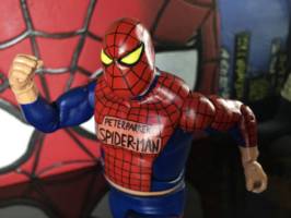Earth X Spider-Man (Marvel Legends) Custom Action Figure