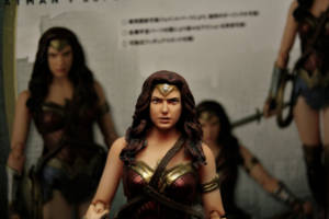 Wonder Woman (Gal Gadot) [Mafex Repaint] (Wonder Woman) Custom Action Figure