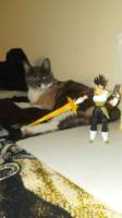 Rappudo (Dragonball Z) Custom Action Figure