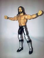 Seth Rollins (Wrestling) Custom Action Figure