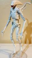 The Neomorph (Aliens) Custom Action Figure