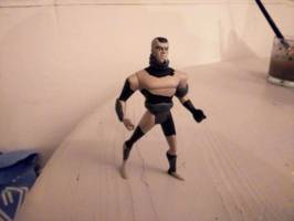 Batman Beyond: Stalker (Animated) (Batman Beyond) Custom Action Figure