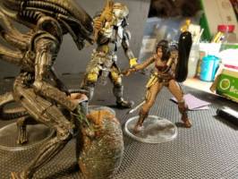 AvP: Machiko Noguchi - Hunter's Planet (Alien vs Predator) Custom Action Figure