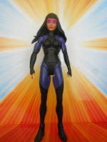 Nightshade Ver 2.0 (DC Universe) Custom Action Figure