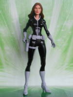 Talia al Ghul (DC Universe) Custom Action Figure