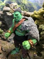 Tarnack  of the Jagged Tusk Clan -Ogre warrior- (Dungeons and Dragons) Custom Action Figure