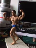 Terminator  Schwarzenegger (Terminator) Custom Action Figure