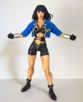 Wonder Woman (DC Universe) Custom Action Figure