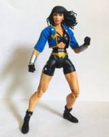 Wonder Woman (DC Universe) Custom Action Figure