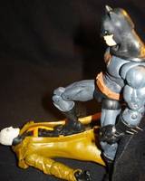 Batman: The Dark Warrior (Batman) Custom Action Figure