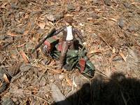 Indiana Jones on a Harley Davidson (Indiana Jones) Custom Miniature / Figurine