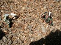 Indiana Jones on a Harley Davidson (Indiana Jones) Custom Miniature / Figurine