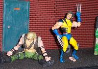 Wolverine (Marvel Legends) Custom Action Figure