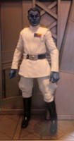 Grand Admiral Thrawn (Star Wars) Custom Action Figure