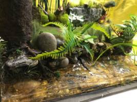 Riverside Road way Diorama (Lord of the Rings) Custom Diorama / Playset
